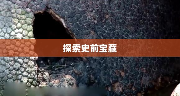 恐龙蛋下载，探索史前宝藏的奇幻之旅