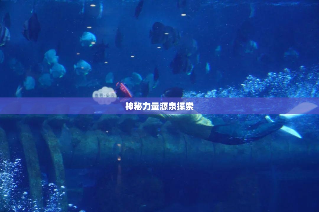 造梦西游法宝，探寻神秘力量的源泉