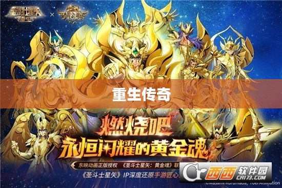 圣斗士星矢，重生的传奇