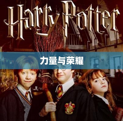 钢拳，力量与荣耀的象征
