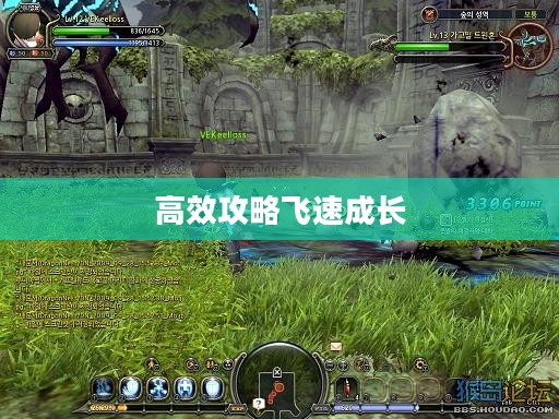 龙之谷升级攻略，高效攻略助你飞速成长