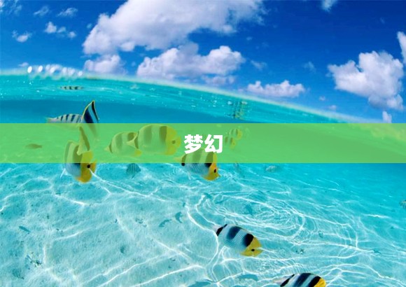 梦幻钓鱼之旅