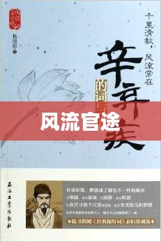 风流官途，权力与智慧的交织