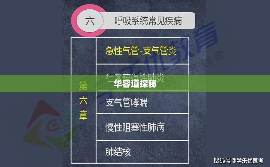 华容道之探秘，历史与技术的双重解读