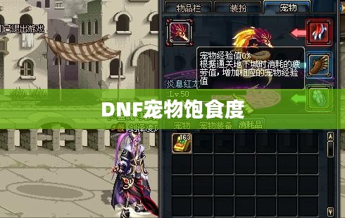 DNF宠物饱食度，游戏中的重要细节与影响因素