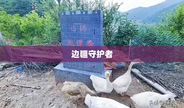 剑阁守卫，英勇无畏的边疆守护者