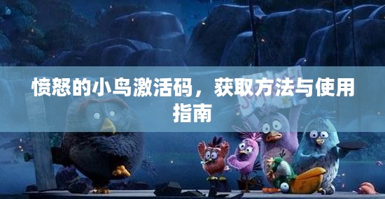 愤怒的小鸟激活码，获取方法与使用指南