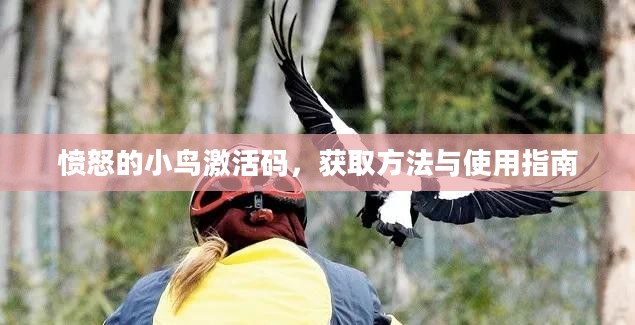 愤怒的小鸟激活码，获取方法与使用指南