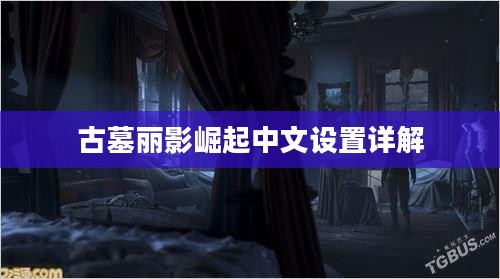古墓丽影崛起中文设置详解