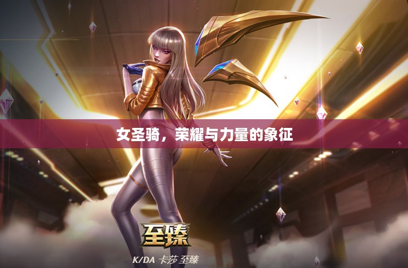 女圣骑，荣耀与力量的象征