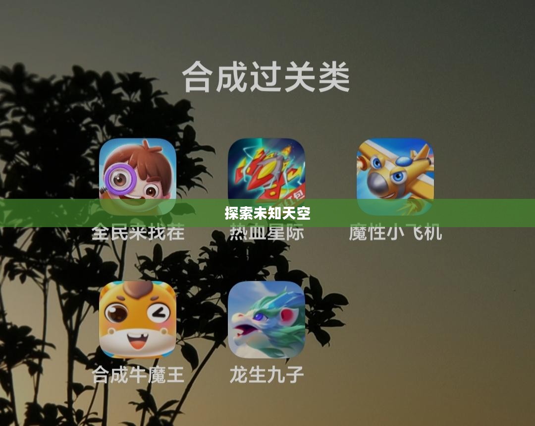 魔性小飞机，探索未知的天空的奇妙之旅
