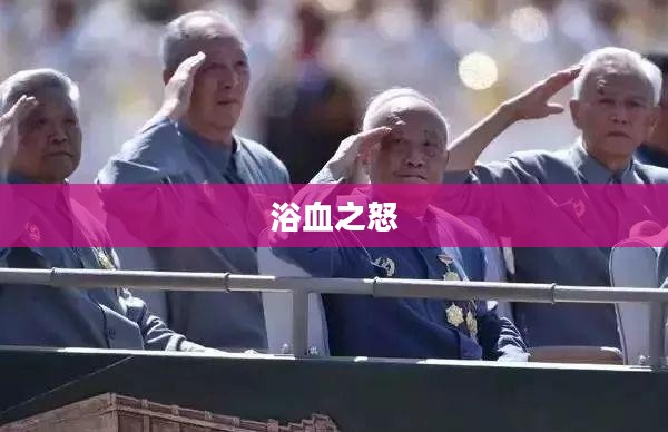 浴血之怒，DNF中的热血挑战与不屈意志