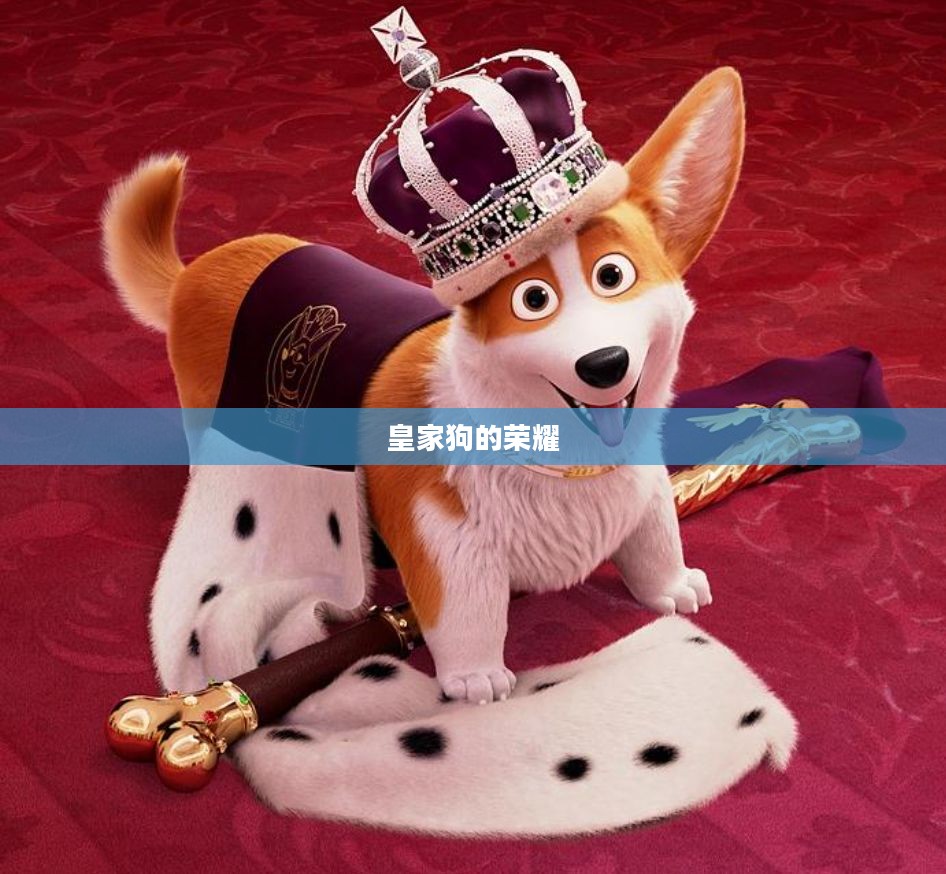 皇家狗的荣耀与责任