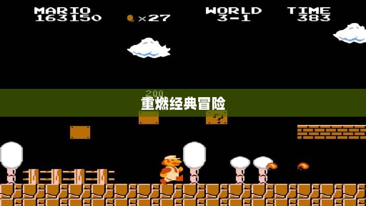 新超级玛丽2，重燃经典，冒险再启