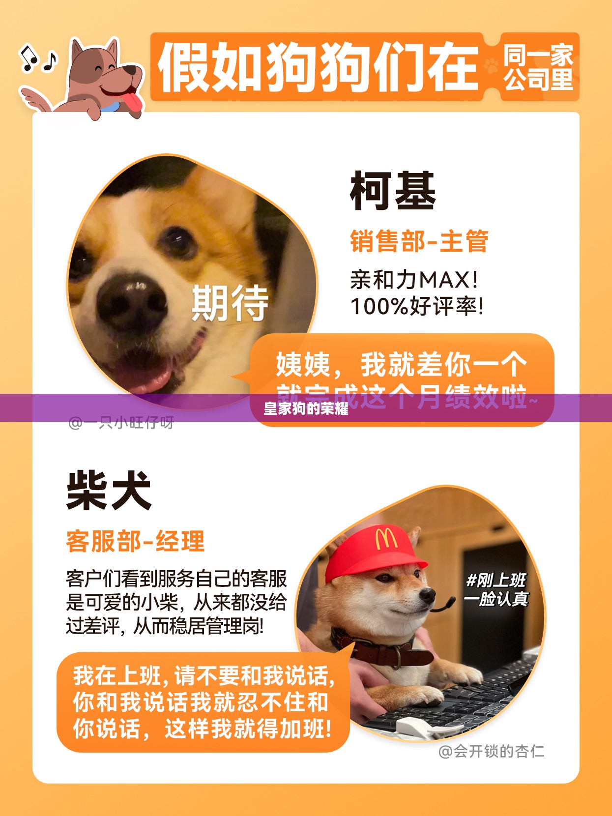 皇家狗的荣耀与责任 皇家狗的荣耀与责任