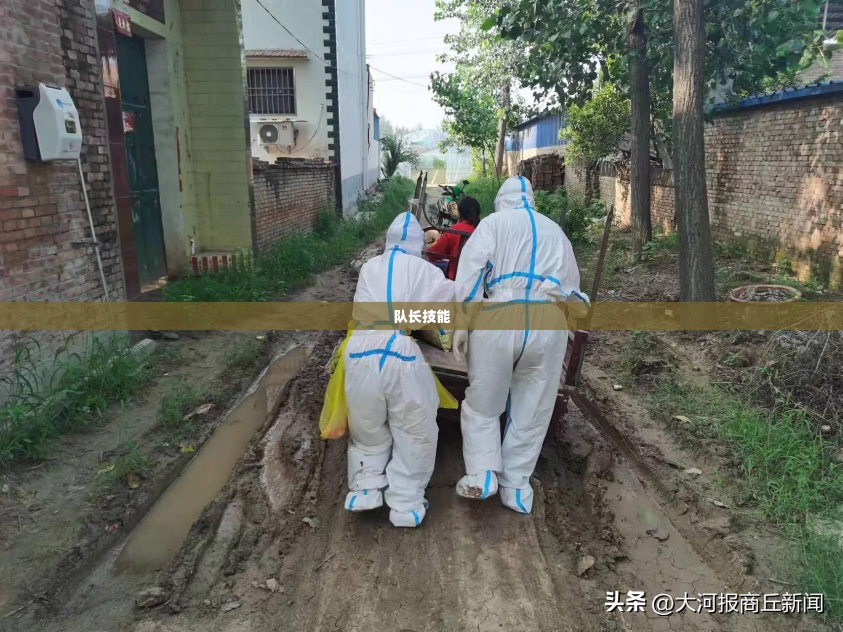 我叫MT队长技能，引领团队，征战无尽战场
