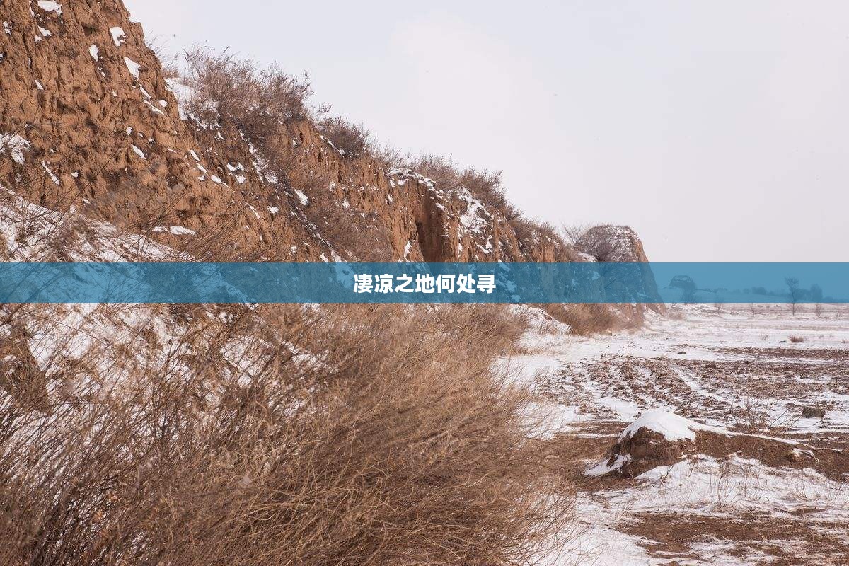 凄凉之地何处寻