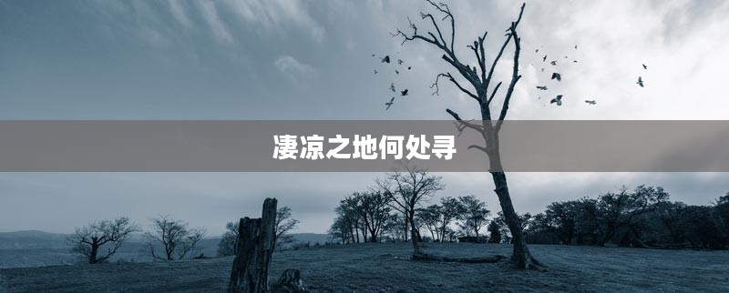 凄凉之地何处寻