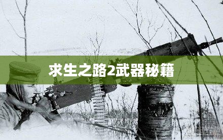 求生之路2武器秘籍，深入探索游戏装备与战斗技巧
