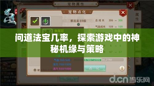 问道法宝几率，探索游戏中的神秘机缘与策略