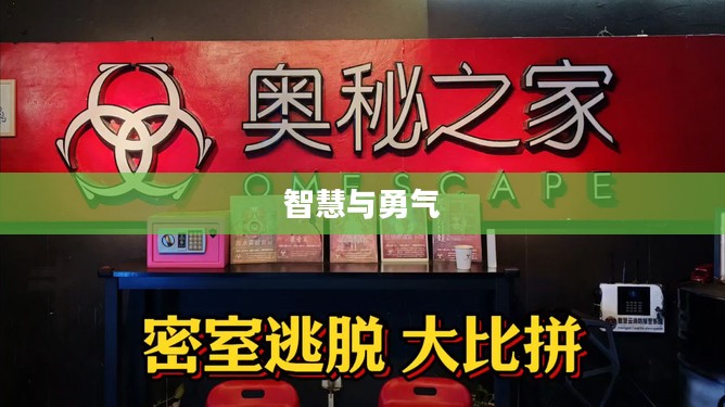 完美逃脱，一场智慧与勇气的较量