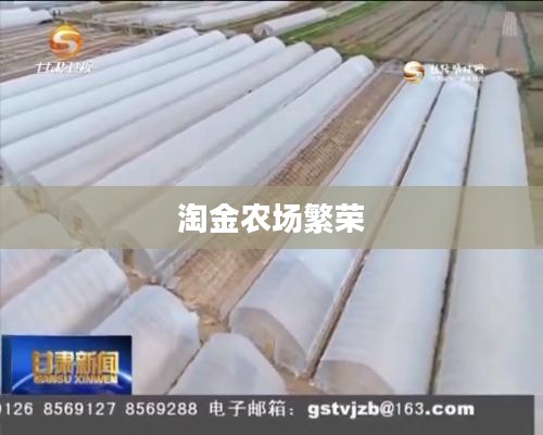 淘金农场的繁荣与变迁