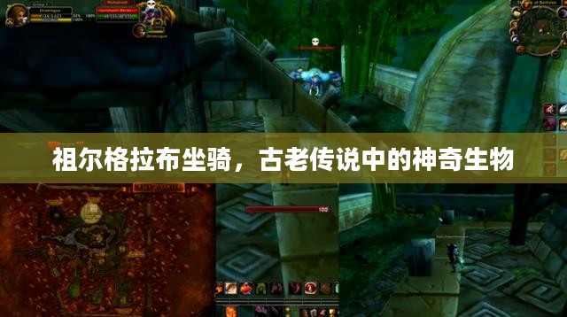 祖尔格拉布坐骑，古老传说中的神奇生物