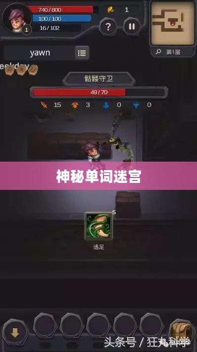 单词迷宫，探索语言中的神秘世界