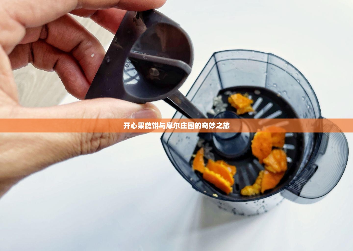 开心果蔬饼与摩尔庄园的奇妙之旅