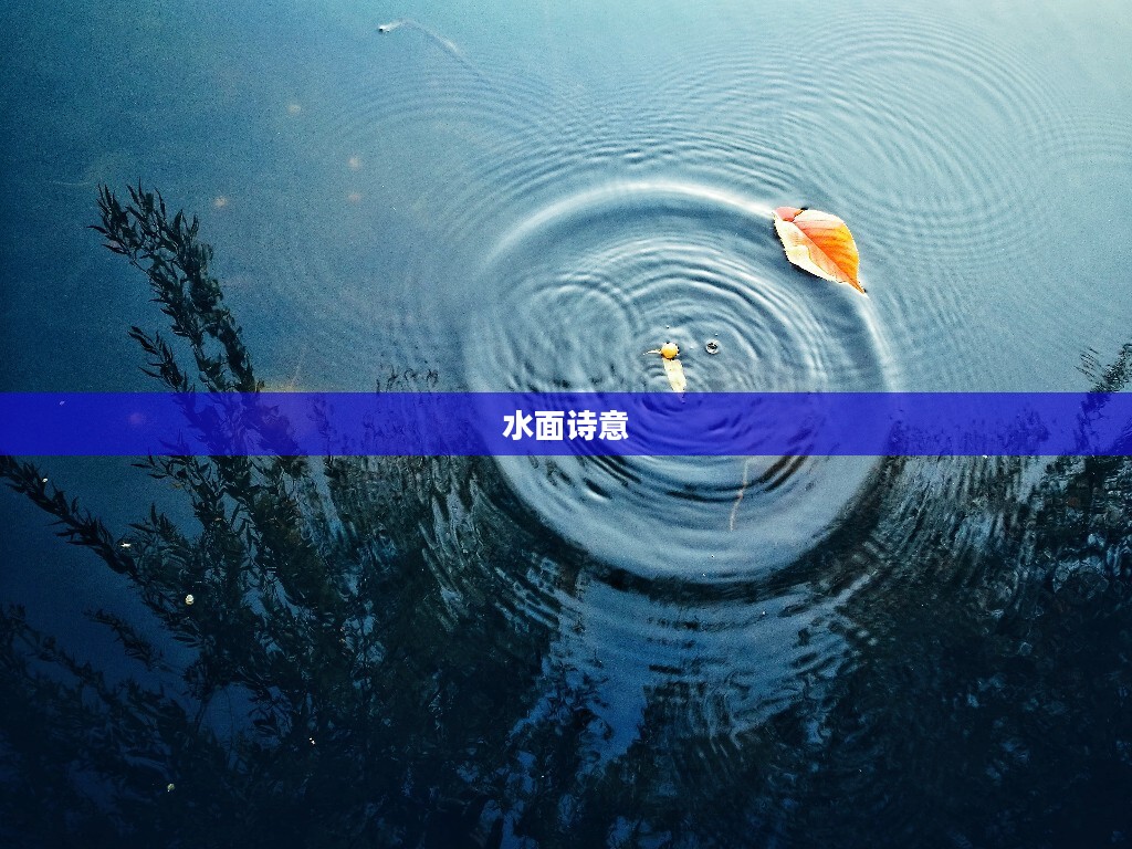 风起涟漪，水面之上的诗意与哲理