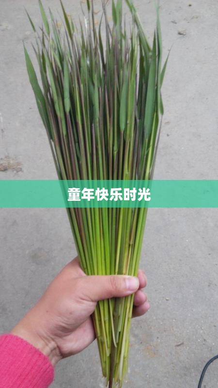 打泡泡游戏,童年的快乐时光 打泡泡游戏,童年的快乐时光
