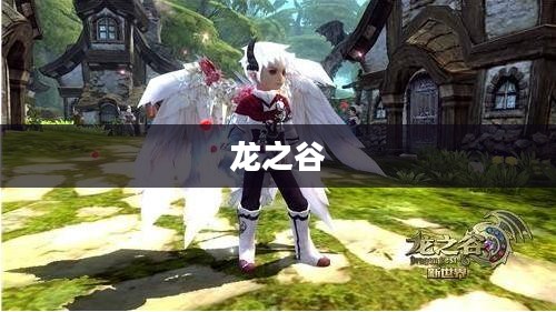 龙之谷，等级进阶与二转之路
