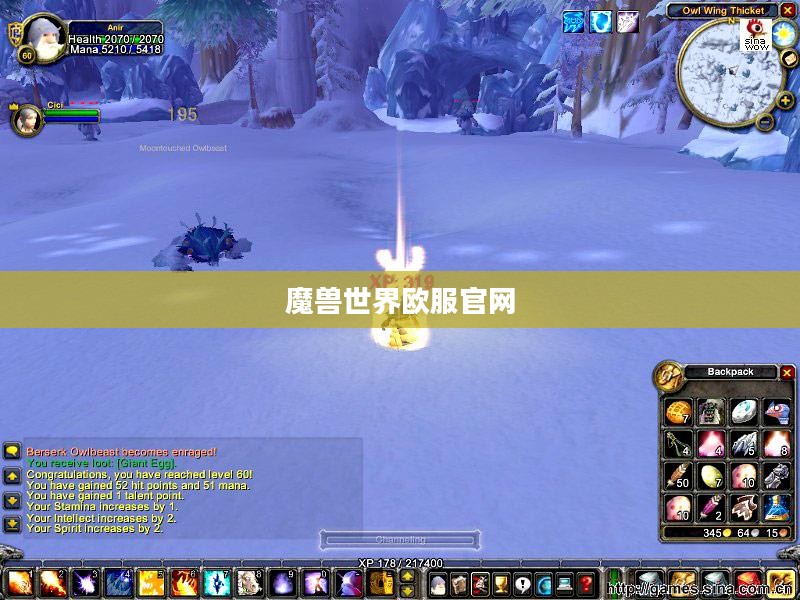 魔兽世界欧服官网，玩家的乐园与信息中心