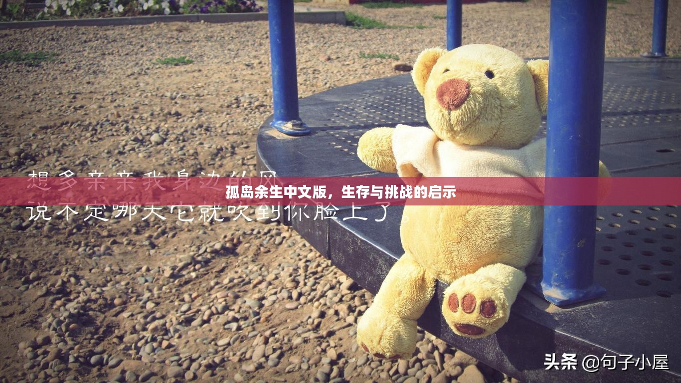 孤岛余生中文版，生存与挑战的启示