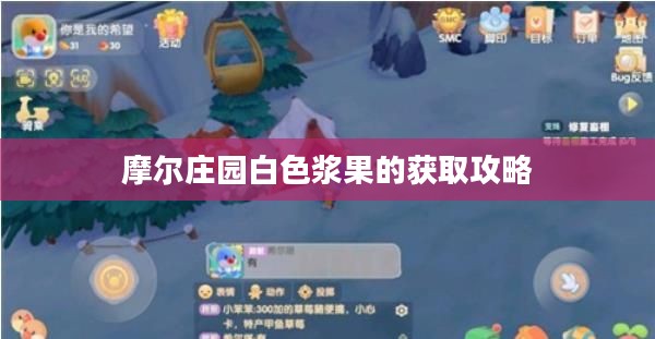 摩尔庄园白色浆果的获取攻略