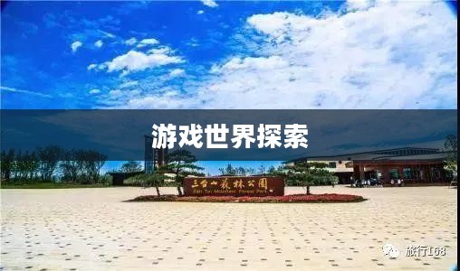 华夏2官网，探索游戏世界的门户