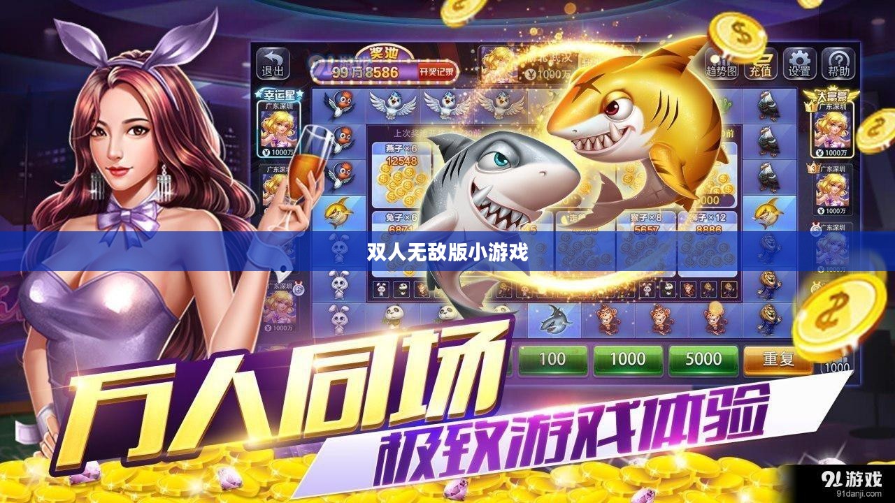 双人无敌版小游戏大全，乐趣无穷的游戏世界
