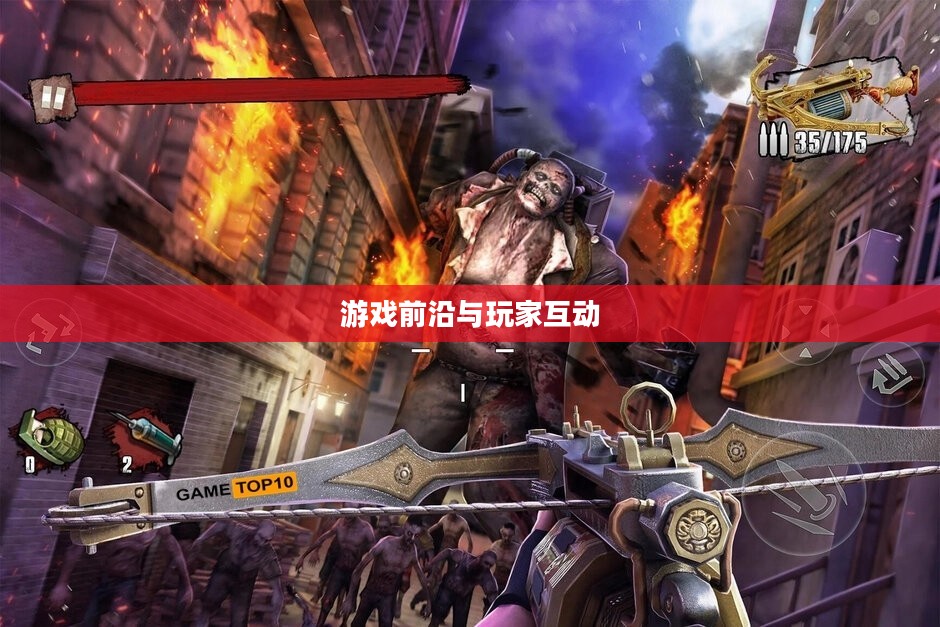 僵尸战争官网，游戏前沿与玩家互动的中心