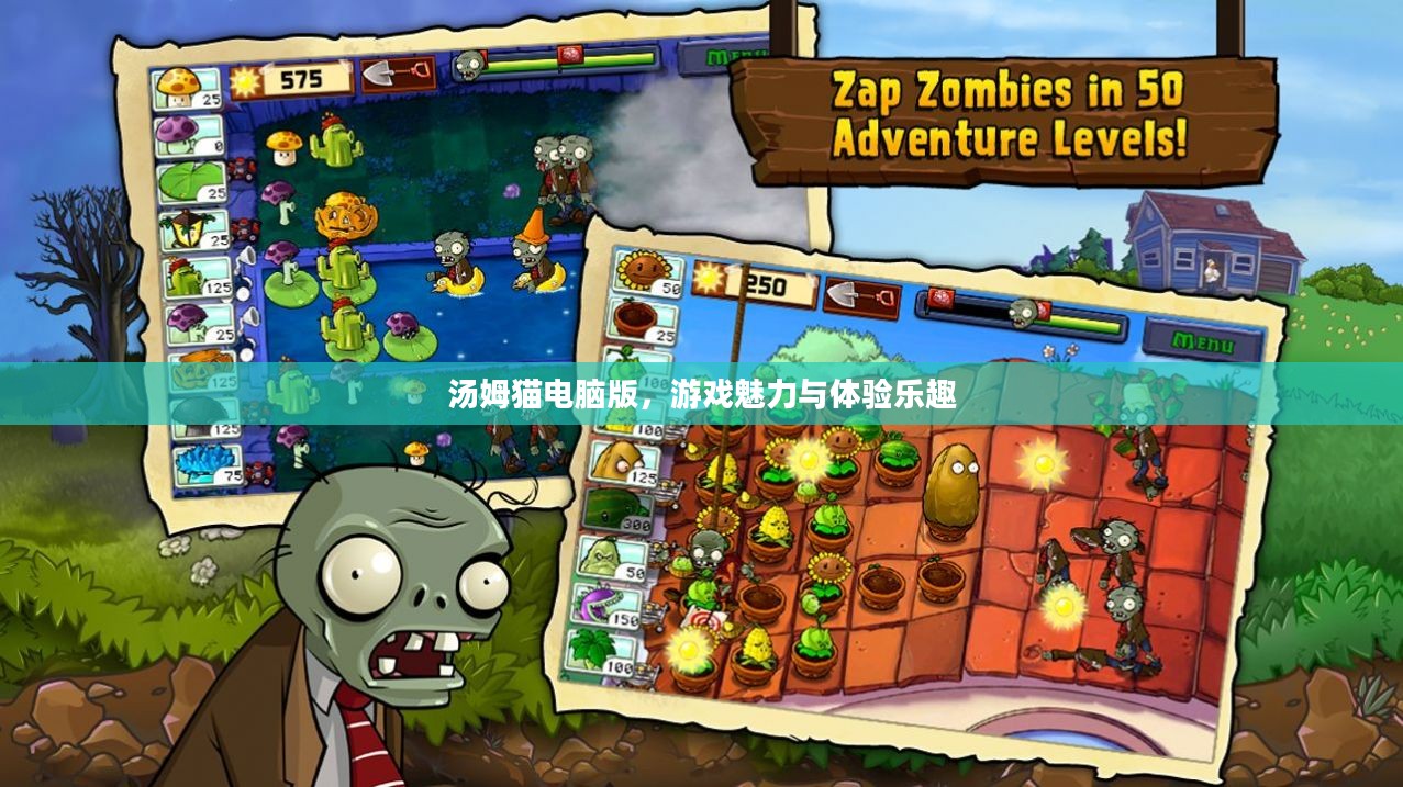 汤姆猫电脑版，游戏魅力与体验乐趣