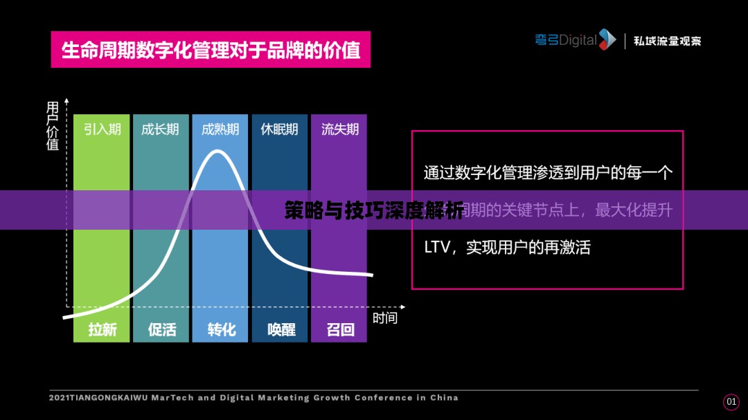 影流之主，策略与技巧的深度解析
