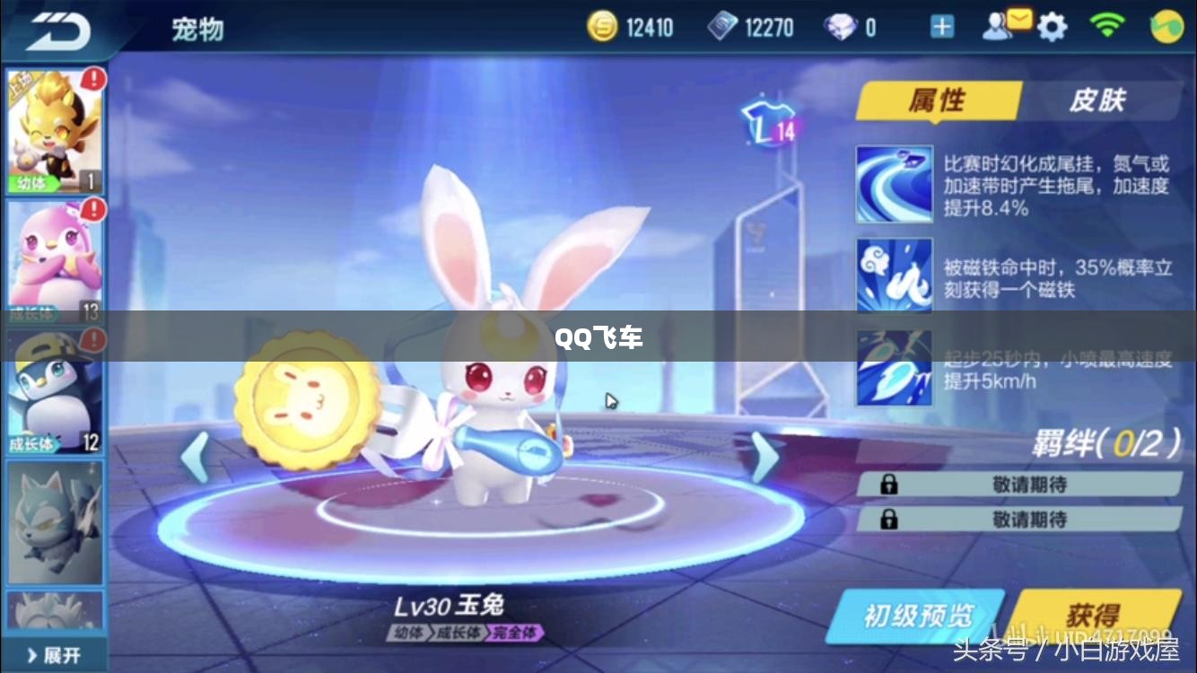 QQ飞车中的黑色闪电，速度与激情的完美结合