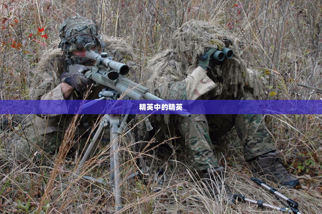 特种部队狙击手，精英中的精英