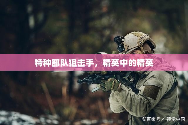 特种部队狙击手，精英中的精英