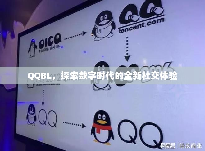 QQBL，探索数字时代的全新社交体验