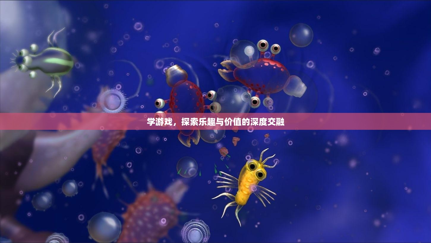 学游戏，探索乐趣与价值的深度交融