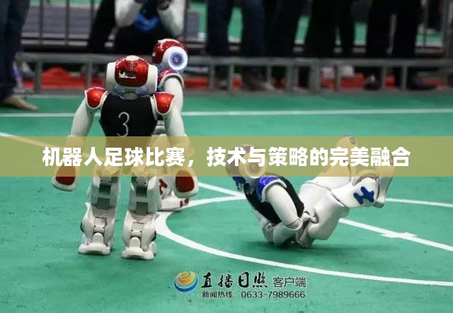机器人足球比赛，技术与策略的完美融合