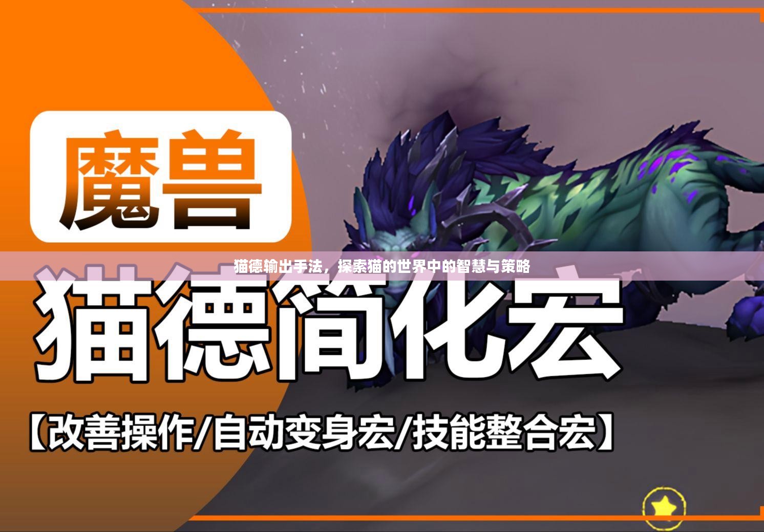 猫德输出手法，探索猫的世界中的智慧与策略
