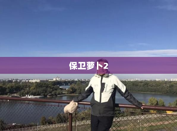 保卫萝卜2，深入解析第42关的挑战与策略