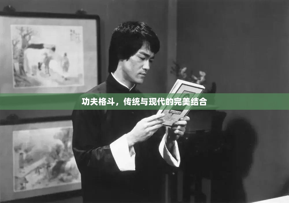 功夫格斗，传统与现代的完美结合