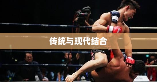 功夫格斗，传统与现代的完美结合